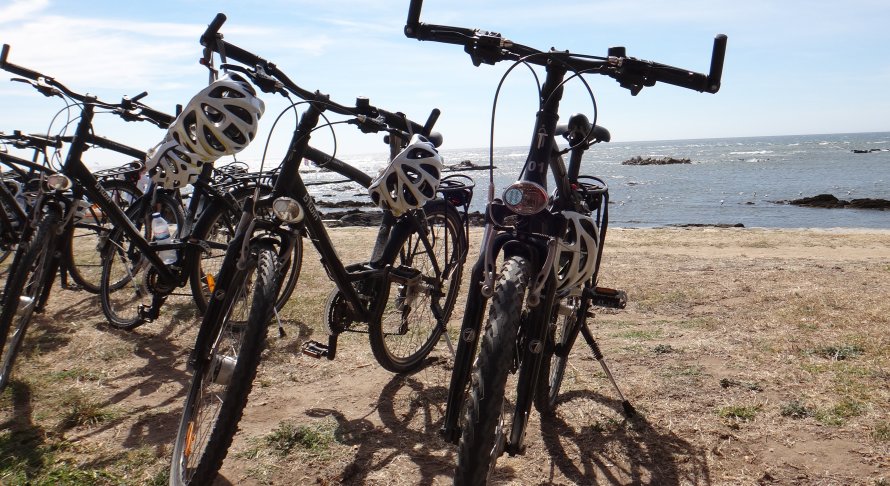 Aluguer de bicicletas