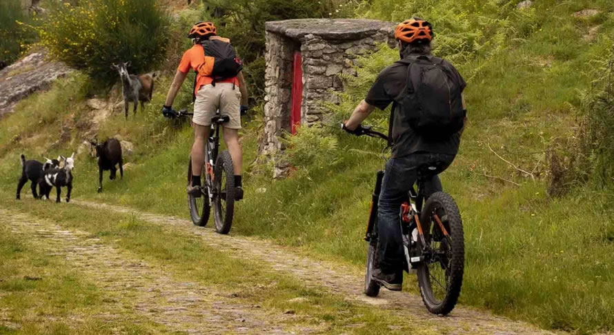 E-bike Tours